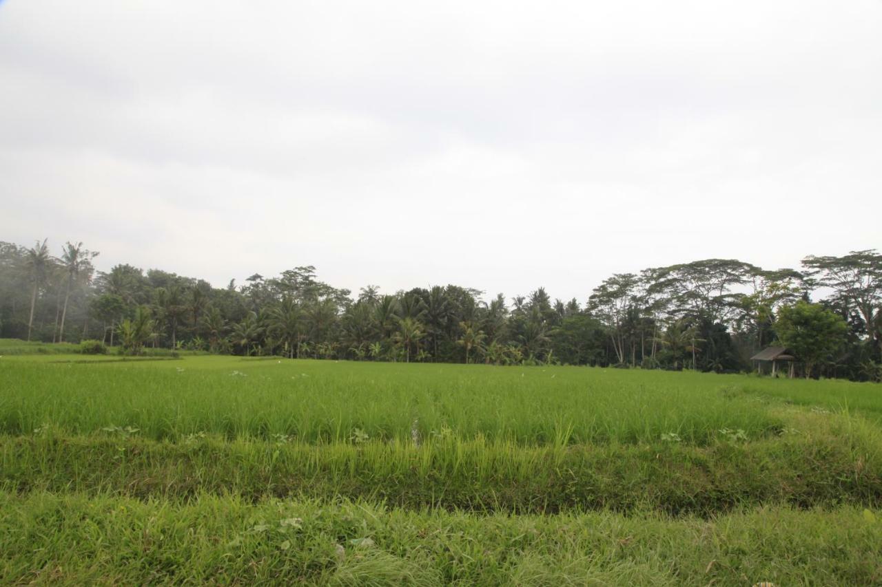 Pondok Gepokan Homestay อูบุด ภายนอก รูปภาพ