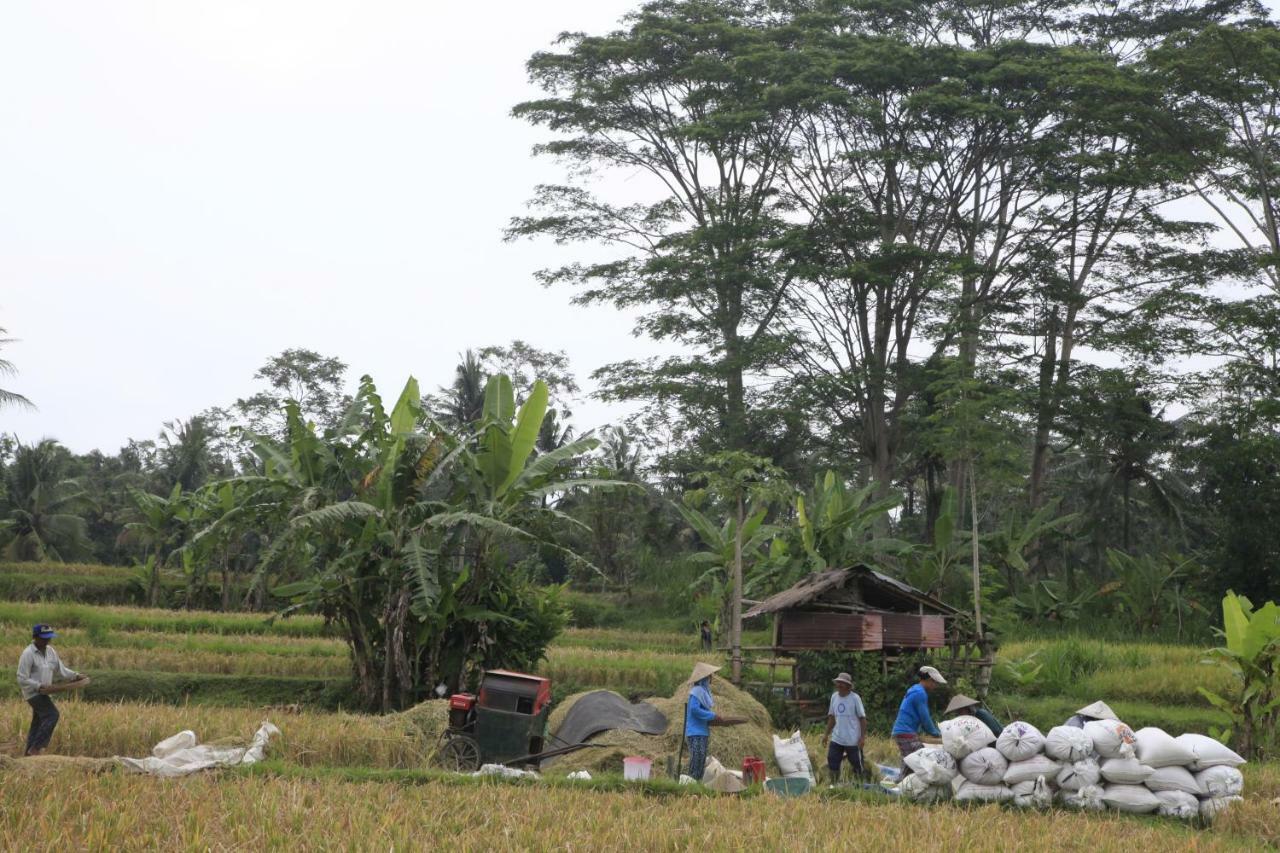Pondok Gepokan Homestay อูบุด ภายนอก รูปภาพ