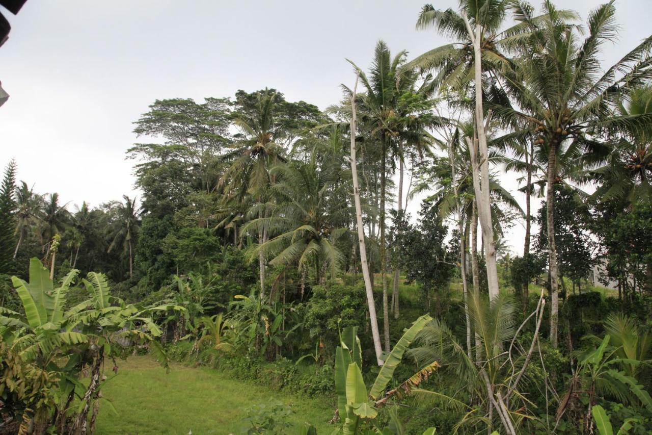 Pondok Gepokan Homestay อูบุด ภายนอก รูปภาพ
