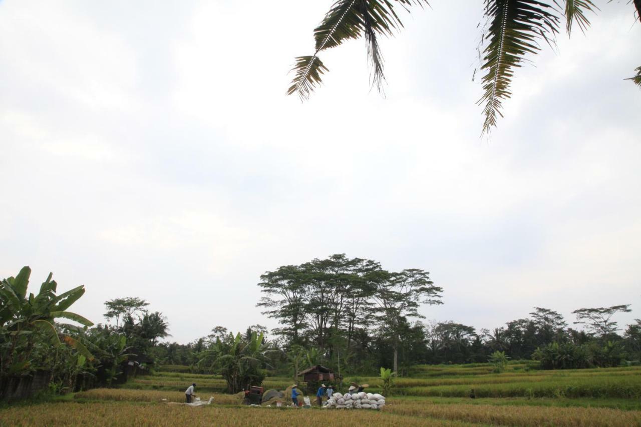 Pondok Gepokan Homestay อูบุด ภายนอก รูปภาพ